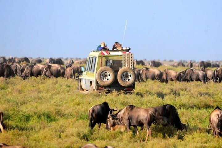 9 Days African Wild Safari and Beach Tour