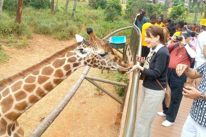 Giraffe Centre and Karen Blixen museum from Nairobi