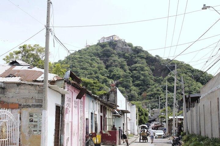 Cartagena: Cultural tour Bazurto Market Adventure