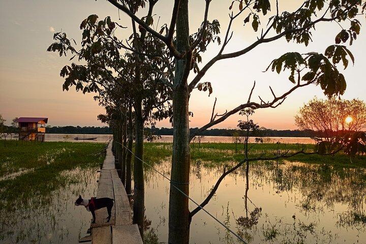 Sunset on the Amazon with fishing and pink dolphin search
