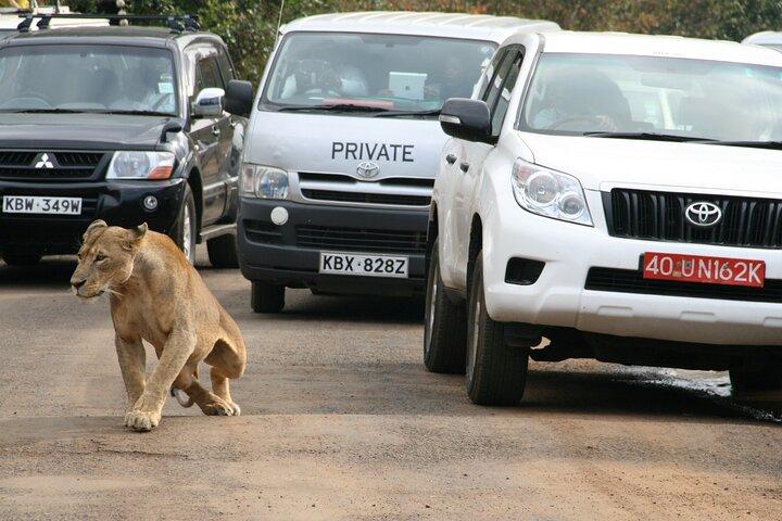 12 Days Safari Tour Experience in Kenya