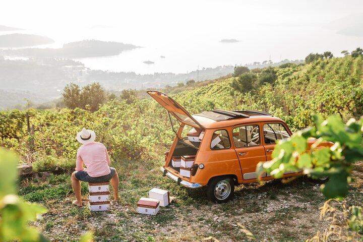 Wine Tasting in Konavle, Near Dubrovnik & Cavtat – Join Us!