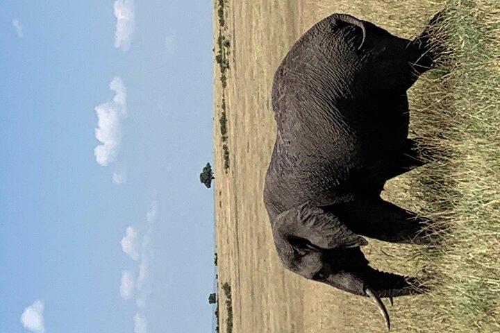6 Days Budget Group Maasai Mara,Nakuru & Amboseli In a 4x4 jeep.