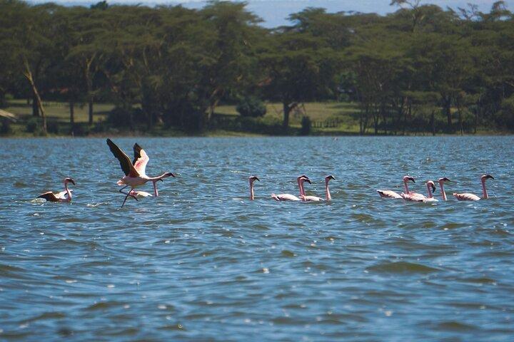3-Days Private Safari in Naivasha