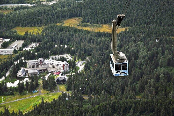 Aerial Tram and Wildlife Center tour from Anchorage