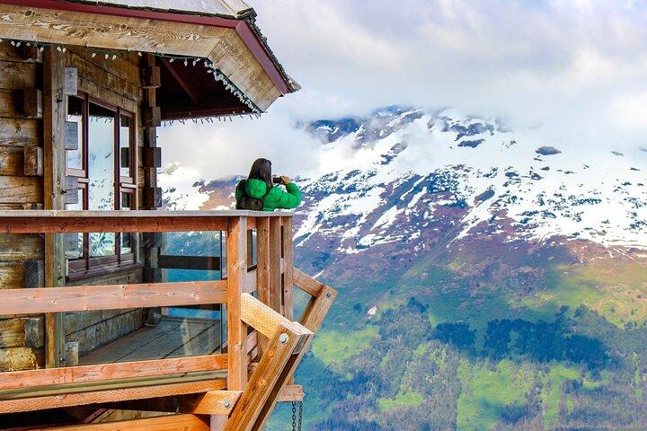 Aerial Tram and Wildlife Center tour from Anchorage