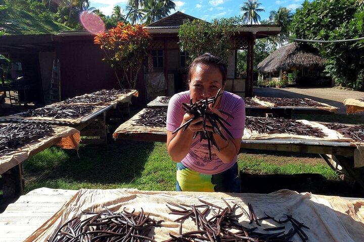 Extra Tahaa Island Boat and Full Day Tour