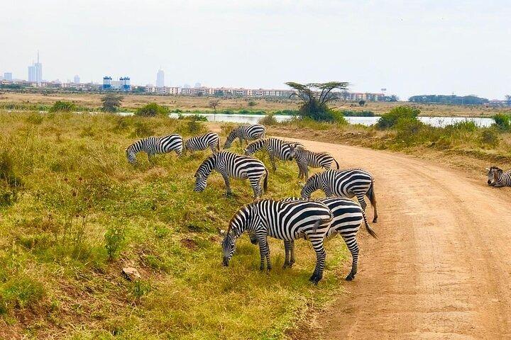 Nairobi National Park Half-Day Tour