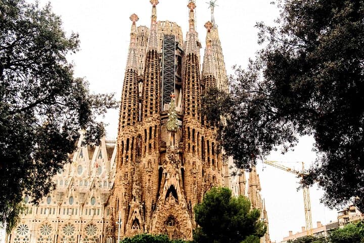 Lights and Shadows of the Sagrada Familia With Ticket And Guide