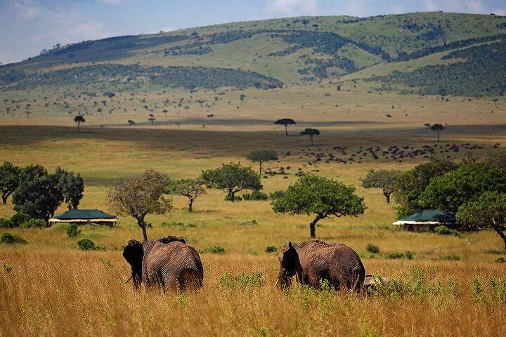 3 Days 2 Nights Maasai Mara National Reserve Joining Safari