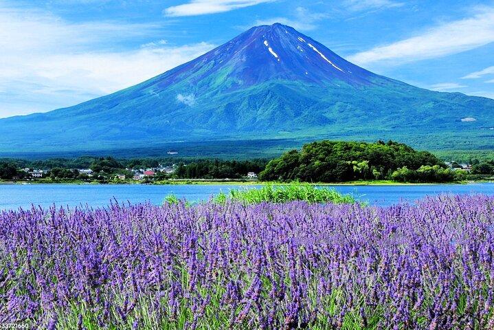 Mt.Fuji Arakurayama Sengen Park,Oshino Hakkai,Kawaguchi Lake Tour