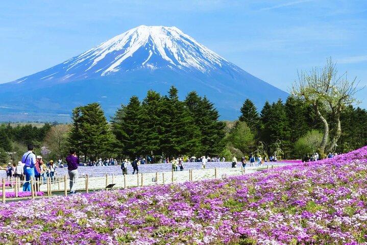 Mt. Fuji Day tour: Kawaguchi Lake Ropeway, Matcha, Oshino Hakkai