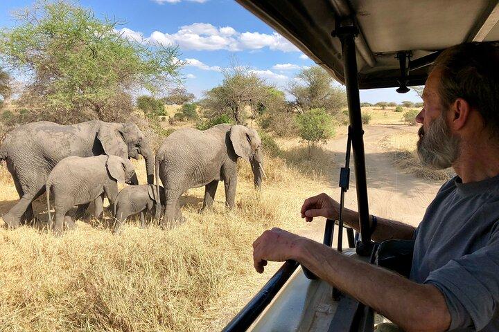 5 Days Migration and Ngorongoro Wonders