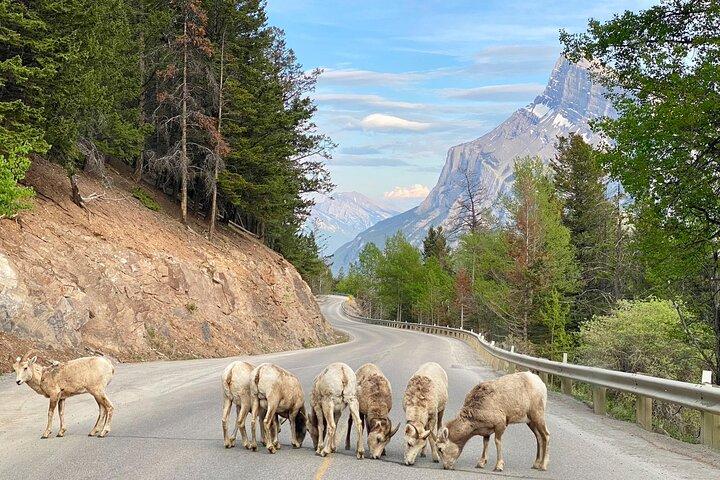 Explore Moraine Lake, Banff, Lake Louise & Minnewanka
