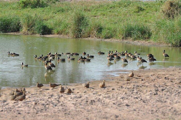 Full day Private Safari- Arusha National Park