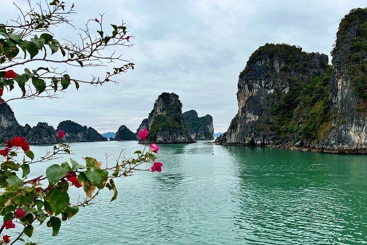 Bai Tu Long Bay 2 Days 1 Night Tour from Hanoi