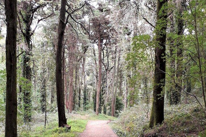 Private Hiking in Natural Park and Traditional Grilled Lunch