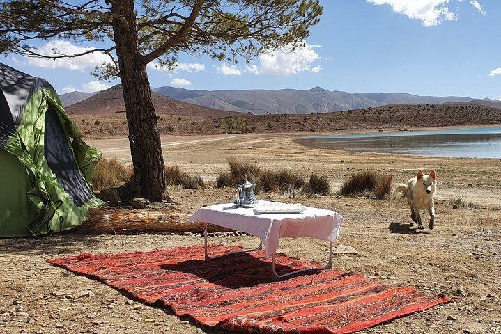 Imilchil Marriage Festival Tour from Marrakech :Once-a-Year Magic