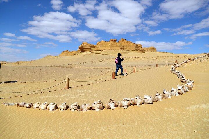 Guided tour to Valley Of The Whales From Cairo