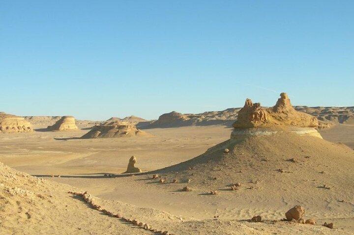 Guided tour to Valley Of The Whales From Cairo