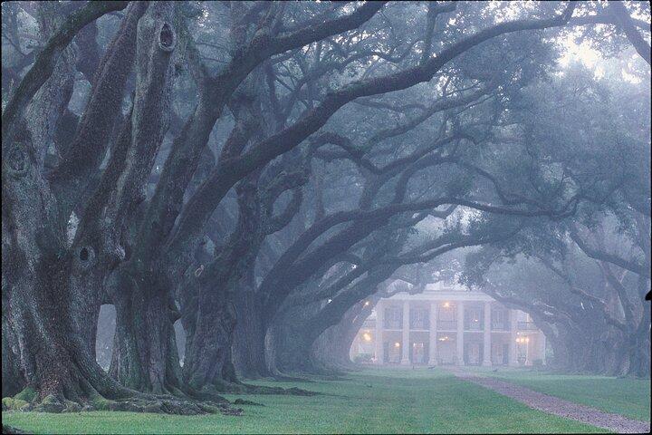 Oak Alley Plantation Tour with Pickup from New Orleans