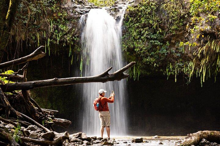 Small Group Waterfall and Rainforest Hiking Adventure on Maui
