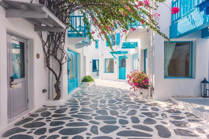 4 Hour Mykonos Tour Designed Especially for Cruise Passengers