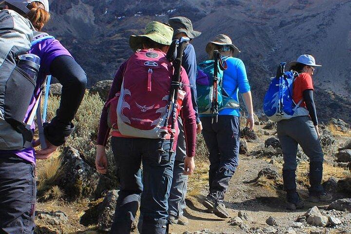 7 Days Machame Route Mountain Kilimanjaro Climbing