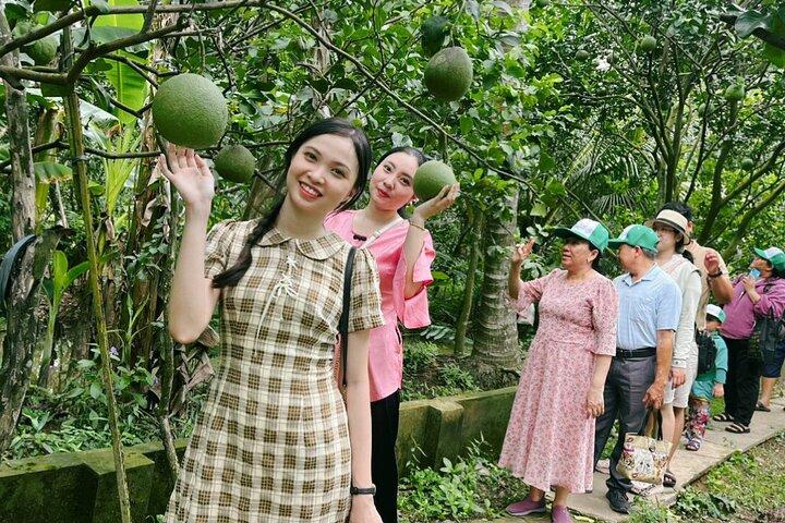 From Ho Chi Minh: Full-Day Mekong Delta Tour to My Tho & Ben Tre