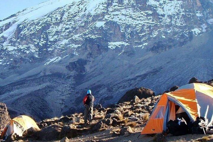 8 Days Lemosho Route Climbing Mount Kilimanjaro