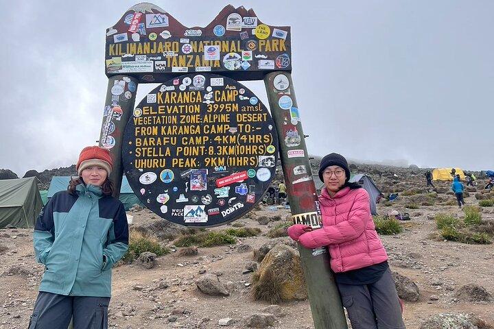 8 Days Lemosho Route Climbing Mount Kilimanjaro