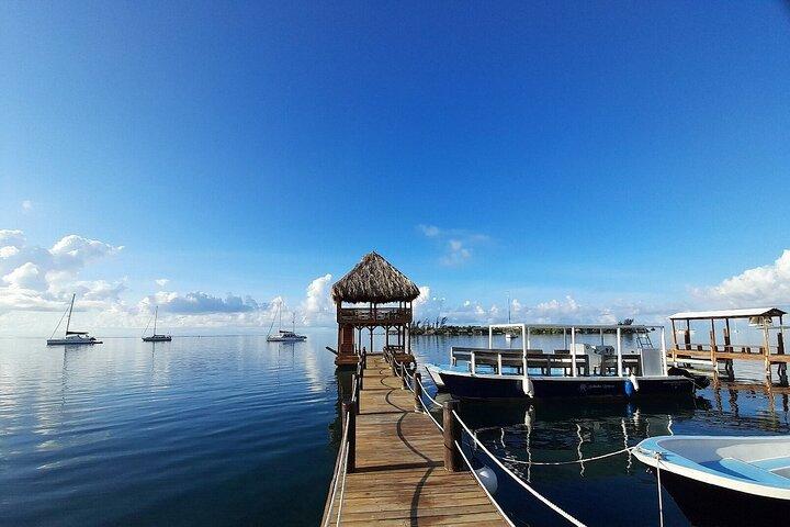1 Stop Snorkel Adventure with Beach Break