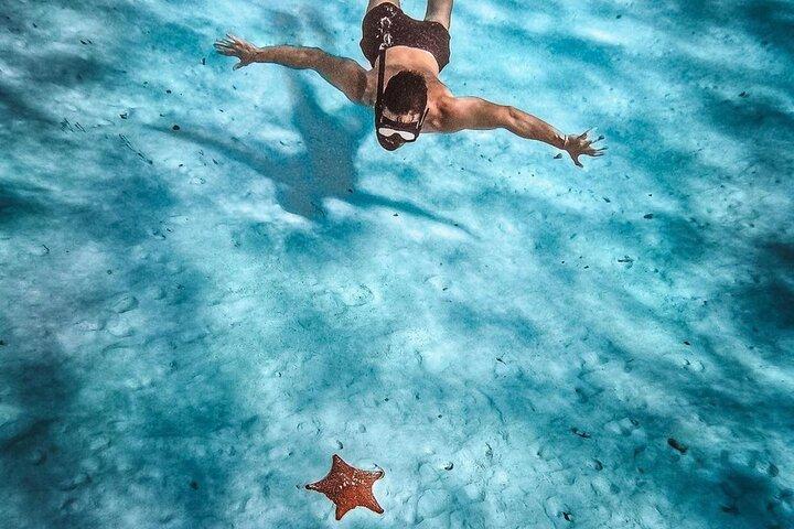 El Cielo Snorkeling Adventure in Cozumel