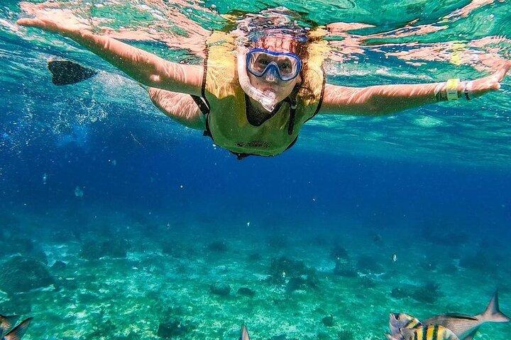 El Cielo Snorkeling Adventure in Cozumel