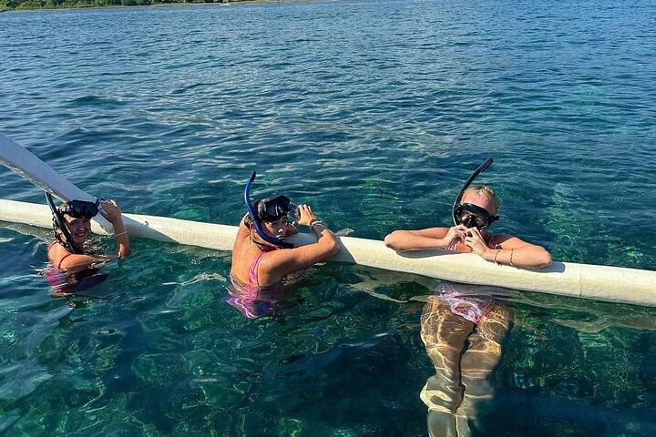 Lovina Dolphin Tour, Swimming with Dolphin and Snorkeling
