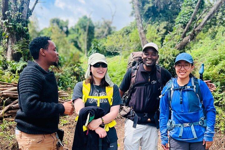 7 Days Machame Route Mountain Kilimanjaro Climbing