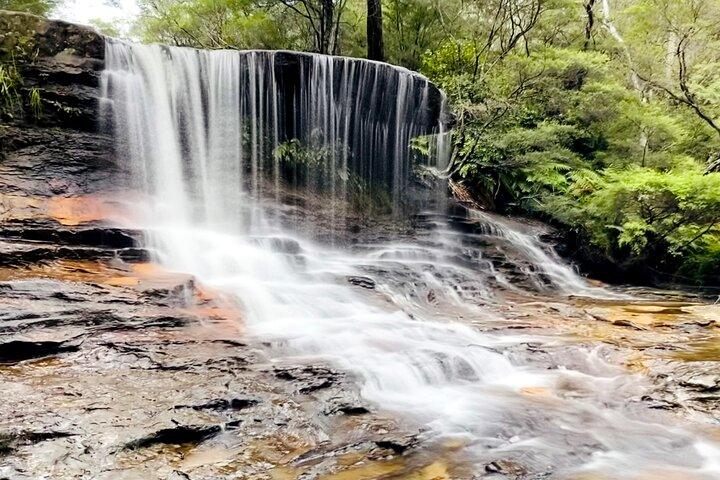 Blue Mountains, Wild Kangaroos and a Cruise