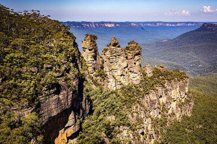 Blue Mountains, Wild Kangaroos and a Cruise
