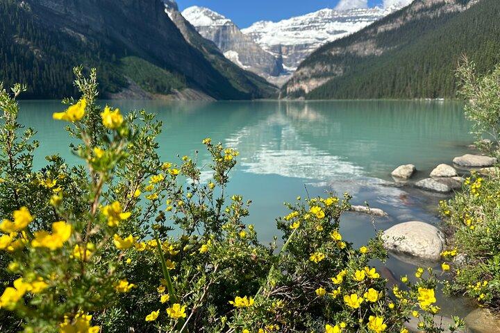 Moraine Lake And Lake Louise Tour from Banff