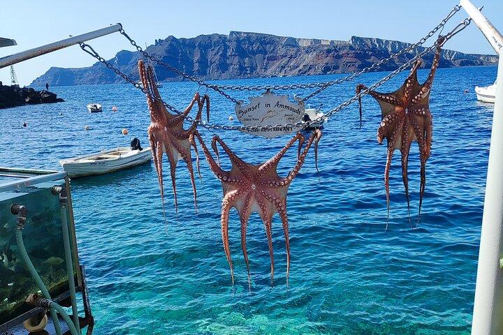 Santorini: Private Transfers From / To the Airport (JTR)
