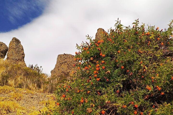 Mystical Valle de Las Animas Moon Valley and Killi Killi View