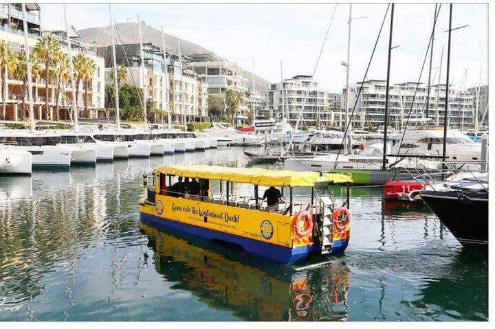 Robben Island and Prison Guided Tour with Ferry Ticket