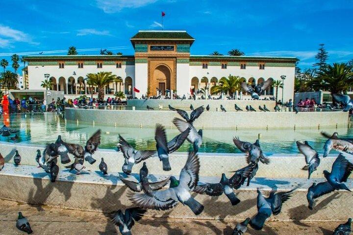Casablanca Cruise Tour: Pick-up & drop-off From the PORT