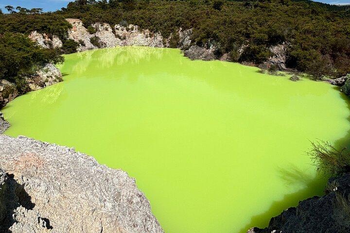 Rotorua: WaiOtapu & Redwood forest & Blues springs from Auckland