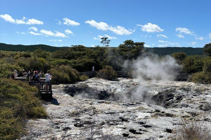 Rotorua: WaiOtapu & Redwood forest & Blues springs from Auckland