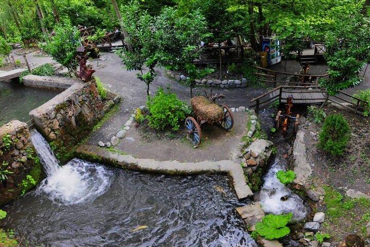 Private Sapanca and Masukiye Tour from Istanbul