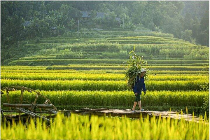 Mai Chau Pu Luong Adventure 2 Days 1 Night Tour