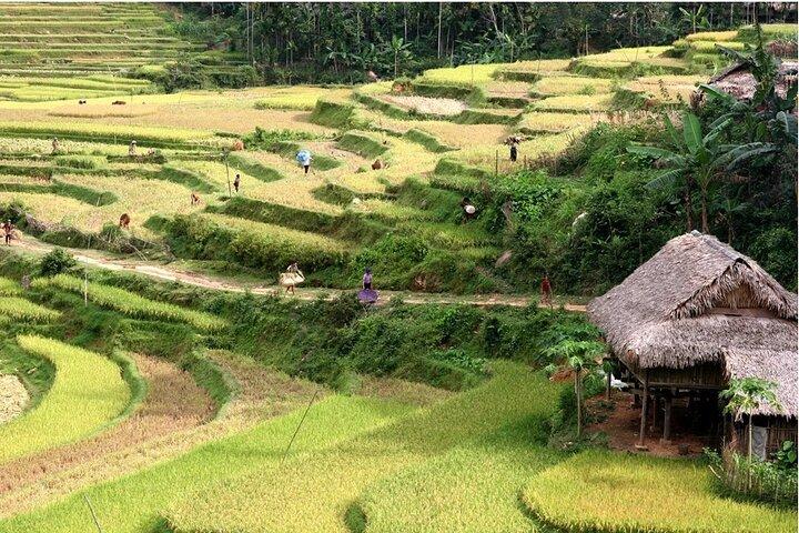Mai Chau Pu Luong Adventure 2 Days 1 Night Tour