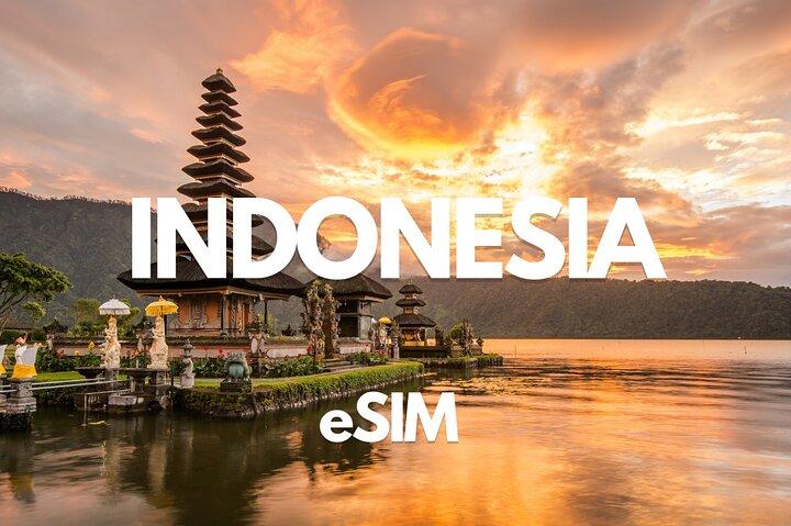 Indonesia Data eSIM:0.5GB Daily to 20GB-30 Days(Instant Delivery)