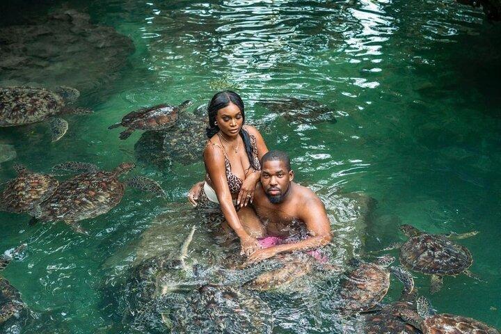Private Mnemba Island and Turtle Aquarium Tour